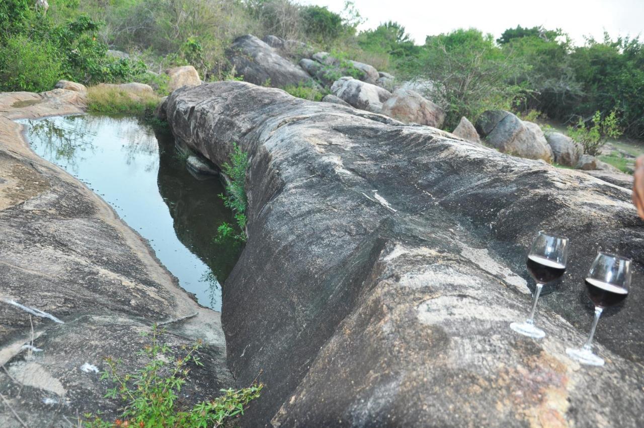 Hotel Wild Trails Yala By Suri Esterno foto